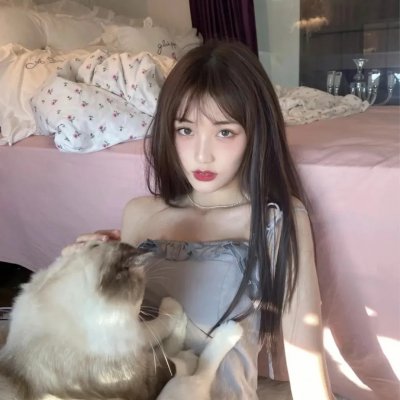 新东京猫猫