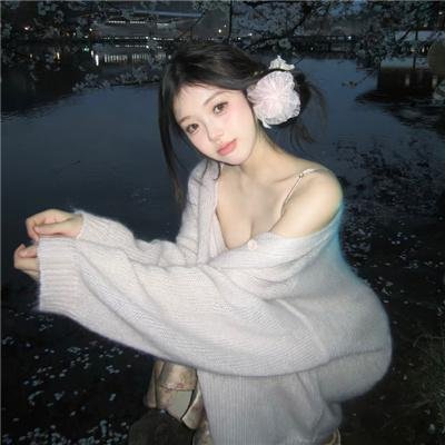 我的朋友是萌鲨